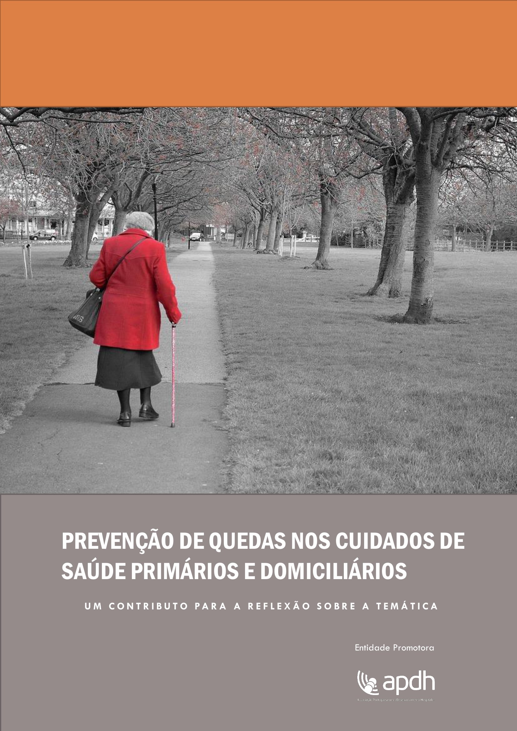 Prevenção de Quedas nos Cuidados de Saúde Primários e Domiciliários. Um Contributo para a Reflexão sobre a Temática-001.jpg