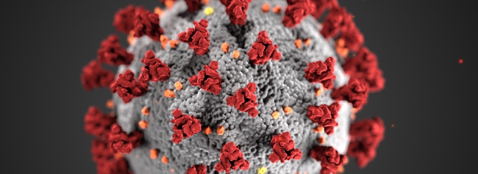 coronavirus_2020.jpg